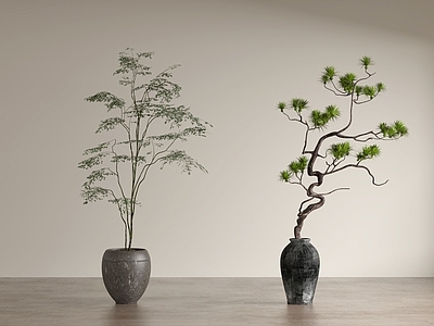盆栽 迎客松 松树 新中式花瓶花艺 绿植 盆栽