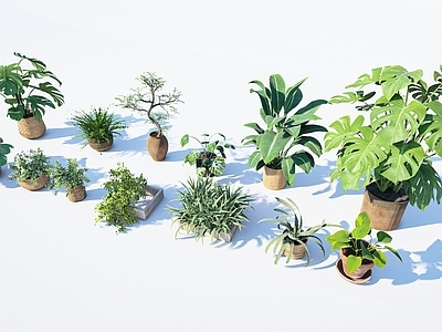 花草 盆栽花草 花盆花钵 植物盆 商业外摆 植物搭配