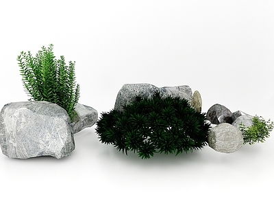 现代植物花草