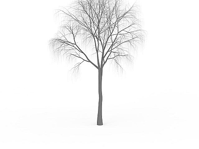 现代办公桌 发芽柳树