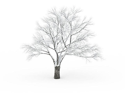 现代办公桌 矮树冠挂雪树木