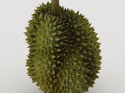 酒水食物 水果 榴莲