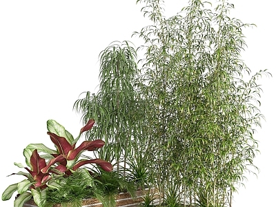 现代绿化花基竹子