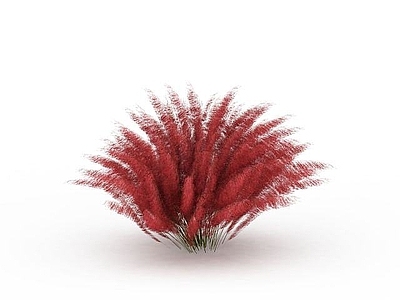 现代佛龛 红色绿化植物