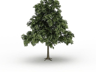 现代办公桌 种植植物