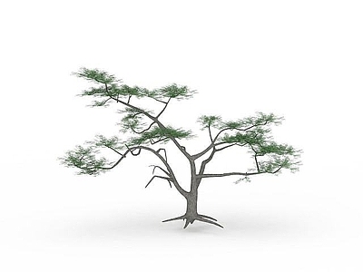 现代办公桌 松树