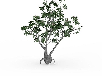 现代办公桌 公园植物