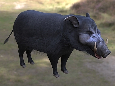 爬行类动物 大林猪 动物 生物