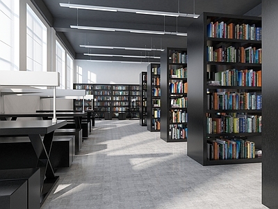 现代北欧图书馆 现代图书室 北欧图书馆 公共图书会议室
