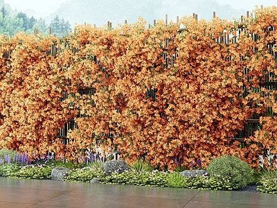 藤蔓 花草 三角梅 花墙藤蔓 植物堆 花境