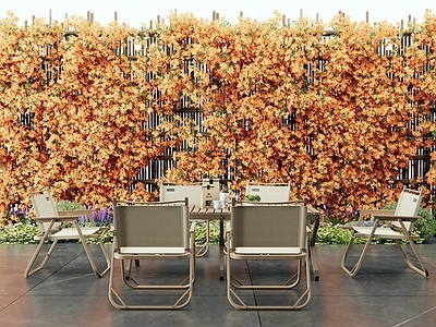 藤蔓 花草 藤爬植物 户外桌椅 花墙藤蔓 花架藤蔓