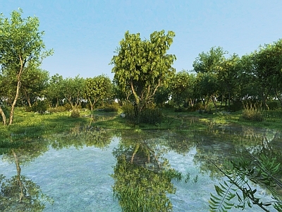 现代公园 现代湿地公园景观 湖边景观 沼泽植物水景 水生植物水草 水生植物大树