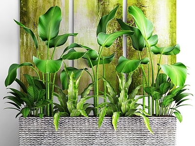 现代花基盆栽