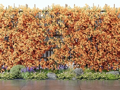 藤蔓 花草植物 三角梅 植物堆 花墙藤蔓 花架藤蔓