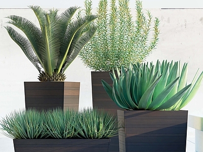现代户外植物盆栽