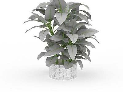 现代佛龛 室内盆栽