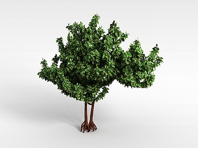 现代办公桌 绿化植物
