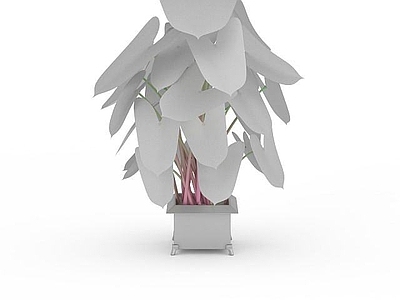 现代佛龛 室内盆栽