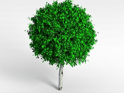 现代办公桌 绿化植物
