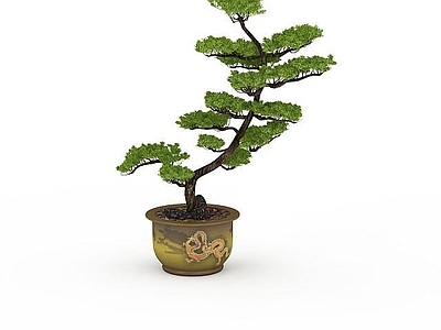 现代其他景观小品 盆栽园艺景观