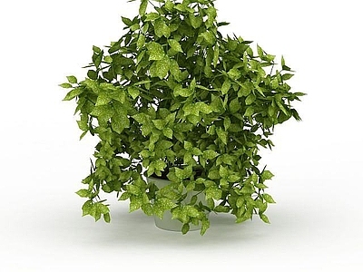 现代其他景观小品 盆栽园艺景观