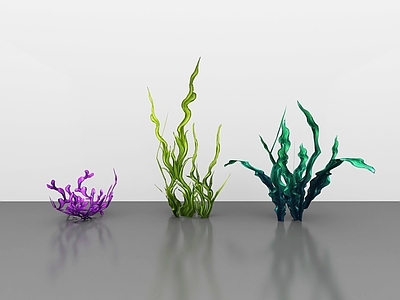 水生植物 水草