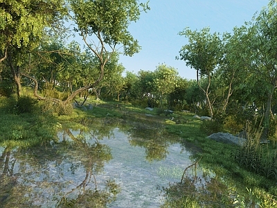 现代公园 现代湿地公园景观 湖边湿地景观 生态水生植物 水草芦苇大树 石头植物湖