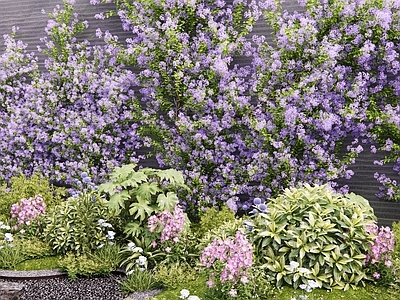藤蔓 花草 花墙藤蔓 灌木 植物堆 藤爬花卉