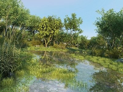 现代公园 现代湿地公园景观 湖边湿地景观 水景水生植物大树 水草大树芦苇 生态湿地湖景植物