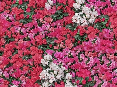 现代自然地面 无缝灌木花丛 无缝花卉植物