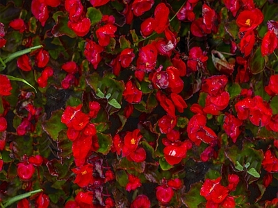 现代自然地面 无缝灌木花丛 无缝花卉植物