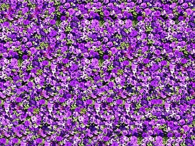 现代自然地面 无缝灌木花丛 无缝花卉植物