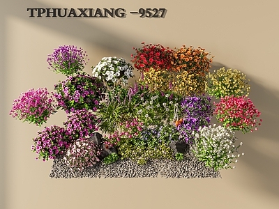 花 卉花草组