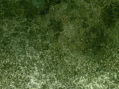 现代新中式自然地面 竞赛风草地