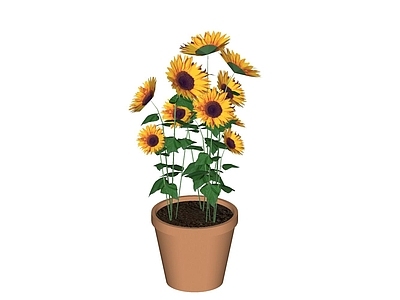 现代花瓶 陶瓷花瓶