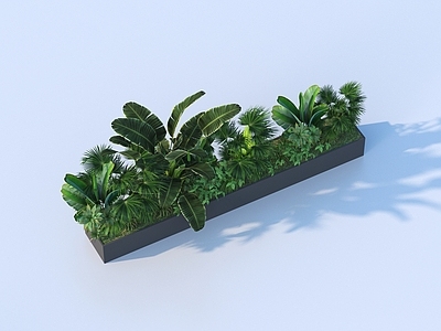 植物堆 植物堆 室内景观