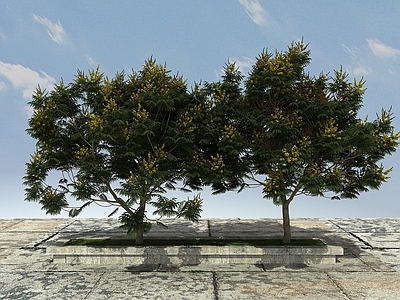 现代有形开花景观植物