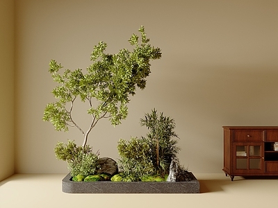 植物堆 现代 诧寂