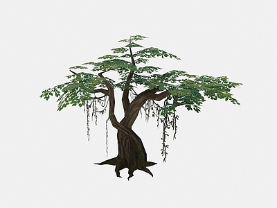 现代植物绿藤树木