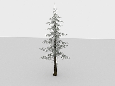 现代植物冬季树木