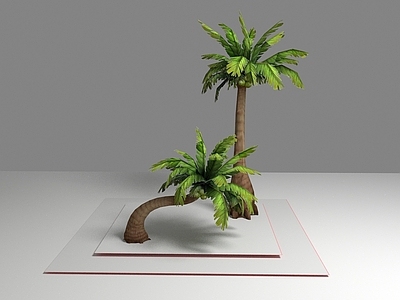 现代植物芭蕉树木