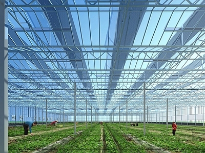 现代厂房 蔬菜大棚 厂房