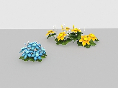 现代植物花草野花野草