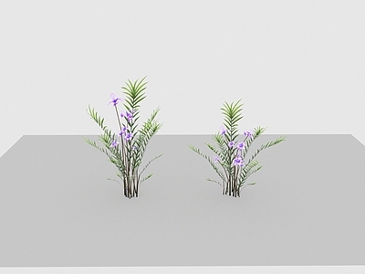 现代植物花草野花野草
