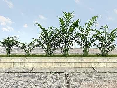 现代花草植物