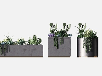 现代绿植花坛