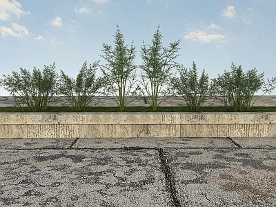 现代疏菜类植物