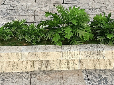 现代花草景观植物
