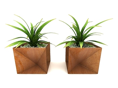 现代植物花盆