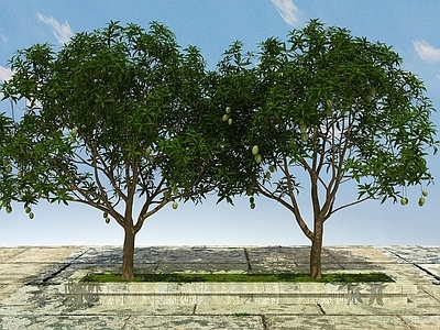 现代果树植物